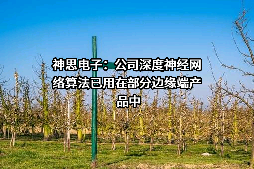 神思电子技术股份有限公司