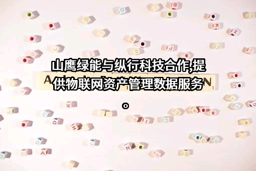 厦门纵行信息科技有限公司