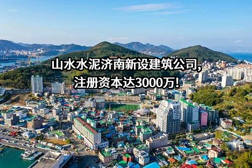山东山水水泥集团有限公司