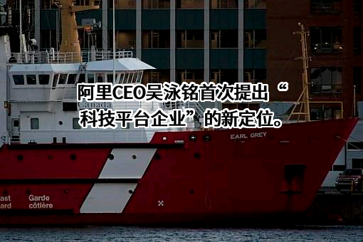 阿里巴巴集团控股有限公司