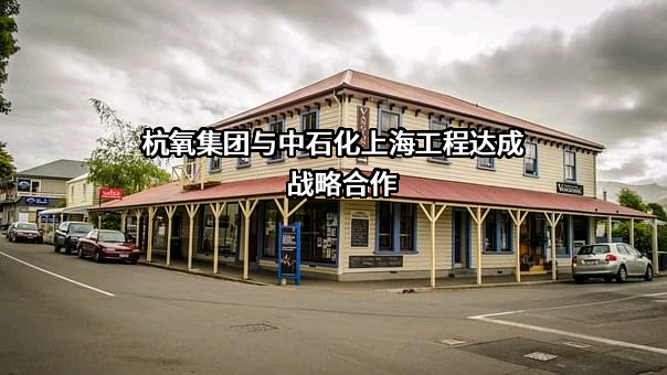 中石化上海工程有限公司