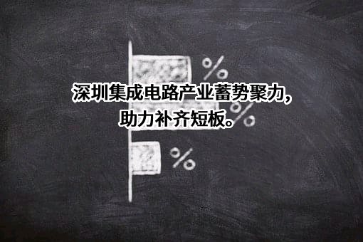 华润微电子股份有限公司
