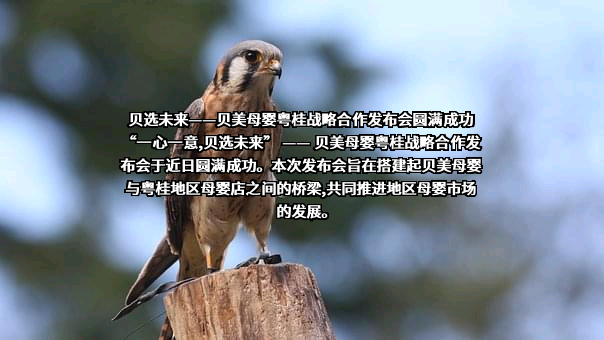绍兴贝斯美化工股份有限公司