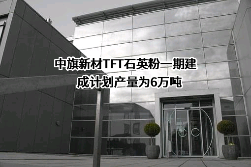 广东中旗新材料股份有限公司