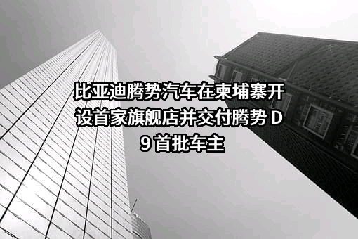 比亚迪股份有限公司
