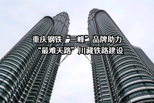 重庆钢铁股份有限公司