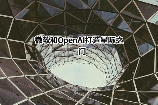 微软（中国）有限公司