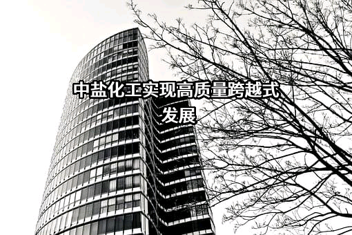 中盐内蒙古化工股份有限公司