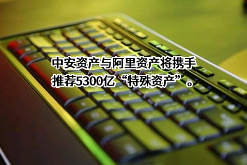 安徽省中安金融资产管理股份有限公司