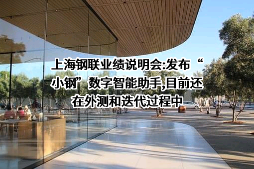 上海钢联电子商务股份有限公司