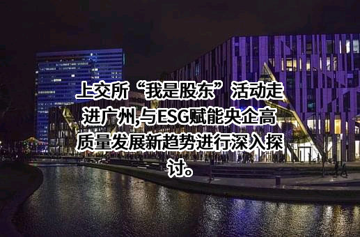 上交所（海南）投资集团有限公司