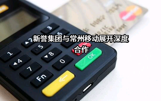 新誉集团有限公司