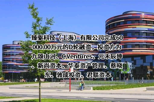 臻驱科技（上海）有限公司