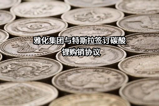 雅化锂业（雅安）有限公司