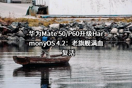 华为技术有限公司