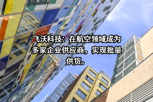 湖南飞沃新能源科技股份有限公司