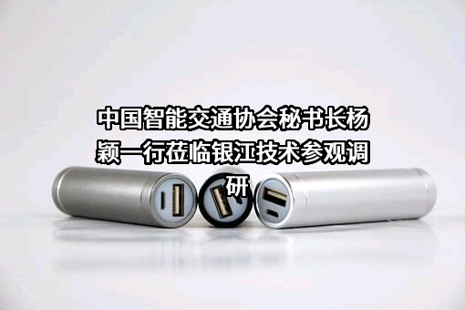 中国智能交通协会
