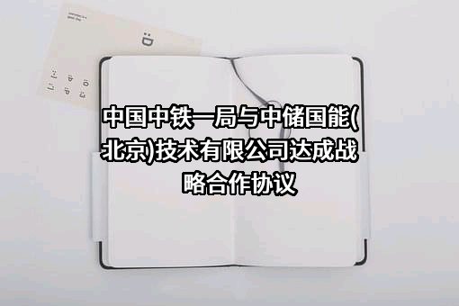 中储国能（北京）技术有限公司