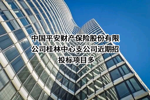 中国平安财产保险股份有限公司桂林中心支公司