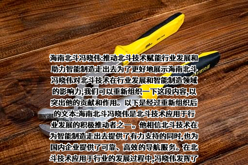 重庆市迪马实业股份有限公司