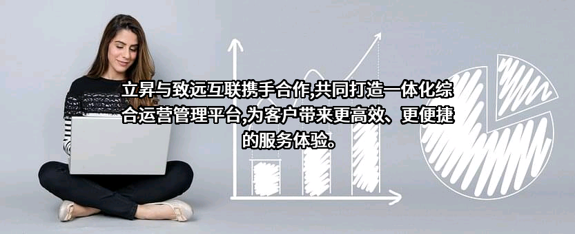 北京致远互联软件股份有限公司
