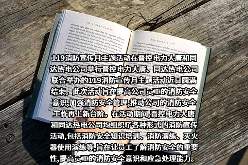 同达热电公司
