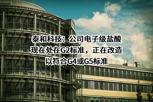 山东泰和科技股份有限公司