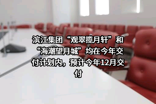 杭州滨江房产集团股份有限公司