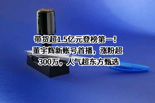 北京新东方迅程网络科技有限公司