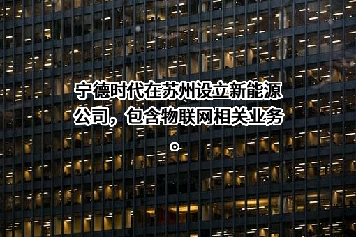 宁德时代新能源科技股份有限公司