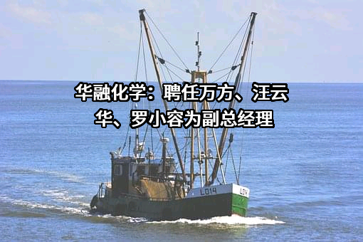华融化学股份有限公司