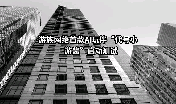 游族网络股份有限公司