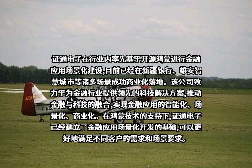 深圳市证通电子股份有限公司