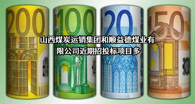 山西煤炭运销集团和顺益德煤业有限公司