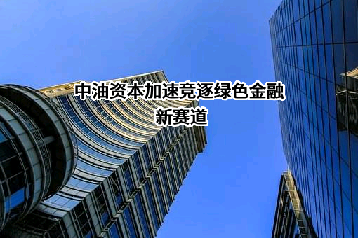 中国石油集团资本股份有限公司