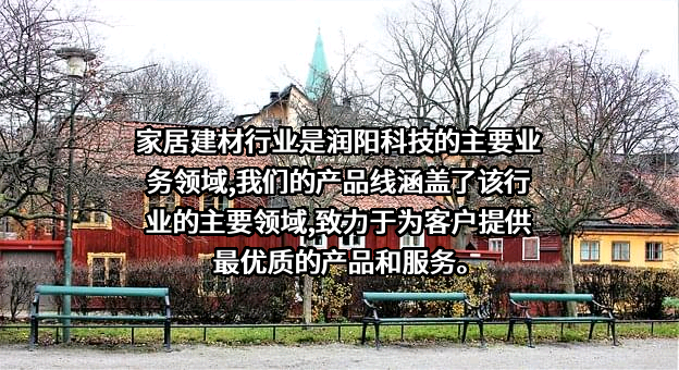 浙江润阳新材料科技股份有限公司
