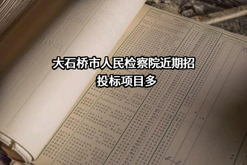 大石桥市人民检察院