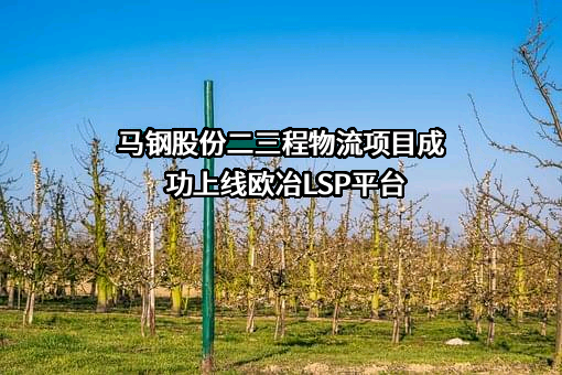 马鞍山钢铁股份有限公司