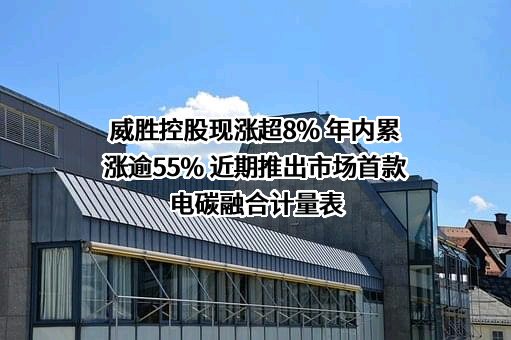 广东电网有限责任公司计量中心