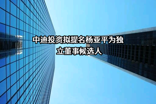 北京中迪投资股份有限公司