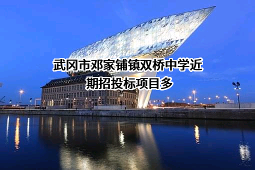 武冈市邓家铺镇双桥中学