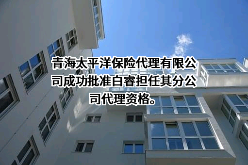 太平洋保险代理有限公司