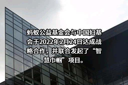 浙江蚂蚁公益基金会