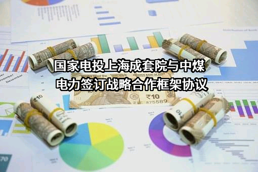 中煤电力有限公司