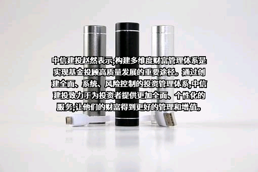 中信建投证券股份有限公司