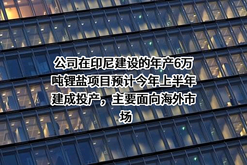 盛新锂能集团股份有限公司