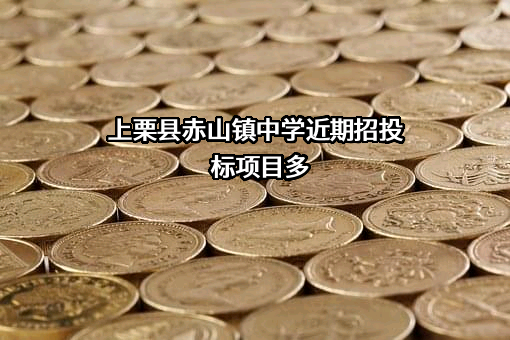 上栗县赤山镇中学近期招投标项目多