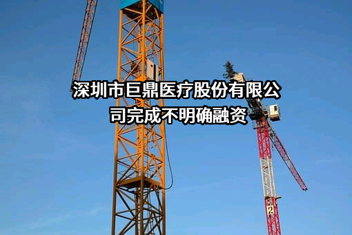 深圳市巨鼎医疗股份有限公司