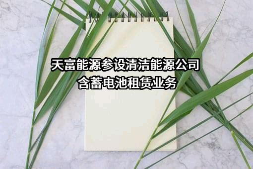 新疆天富能源股份有限公司