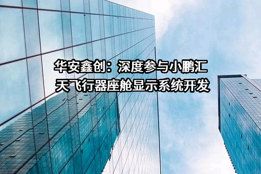 华安鑫创控股（北京）股份有限公司